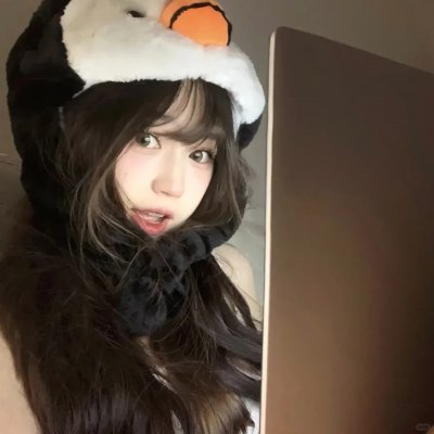 俏房东与妙房客